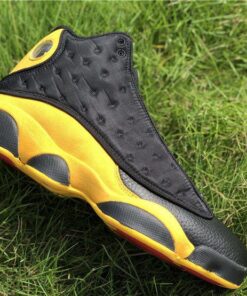 Air Jordan 13 Melo Class of 2002 panel