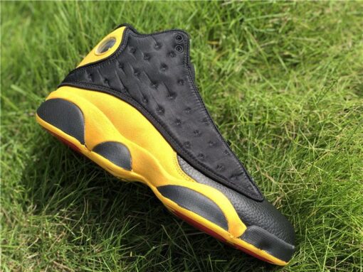 Air Jordan 13 Melo Class of 2002 panel